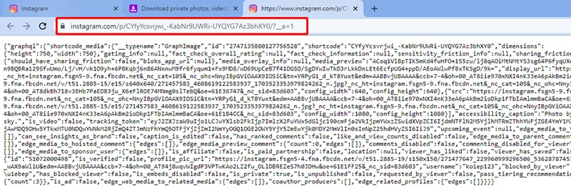 Paste the URL into a new tab in the same browser